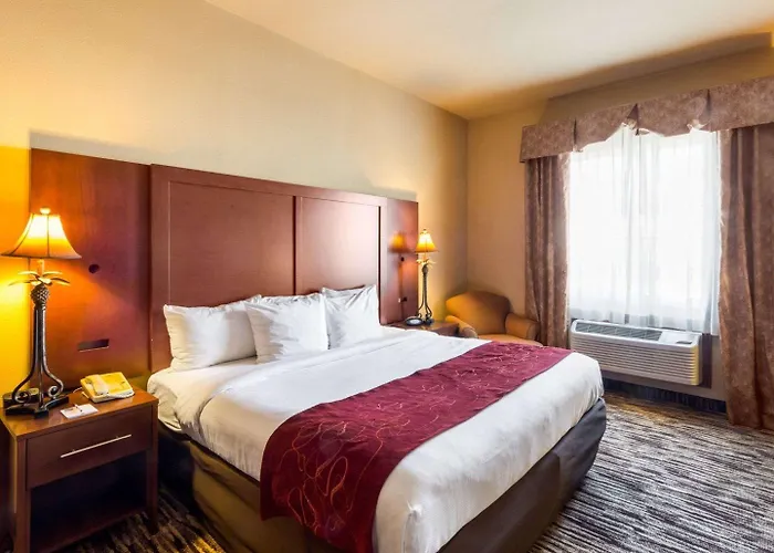 Comfort Suites At Plaza Mall